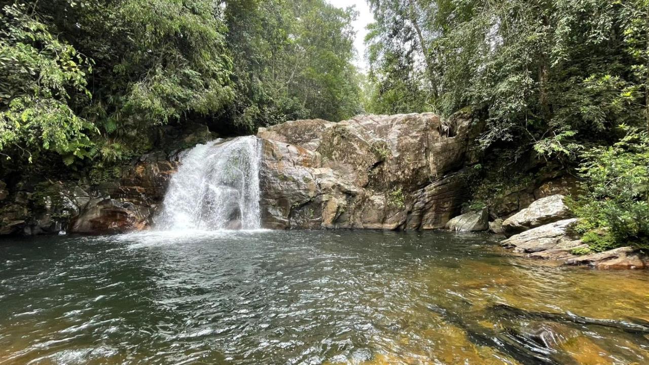 דניאיאה Sinharaja Forest Gate מראה חיצוני תמונה