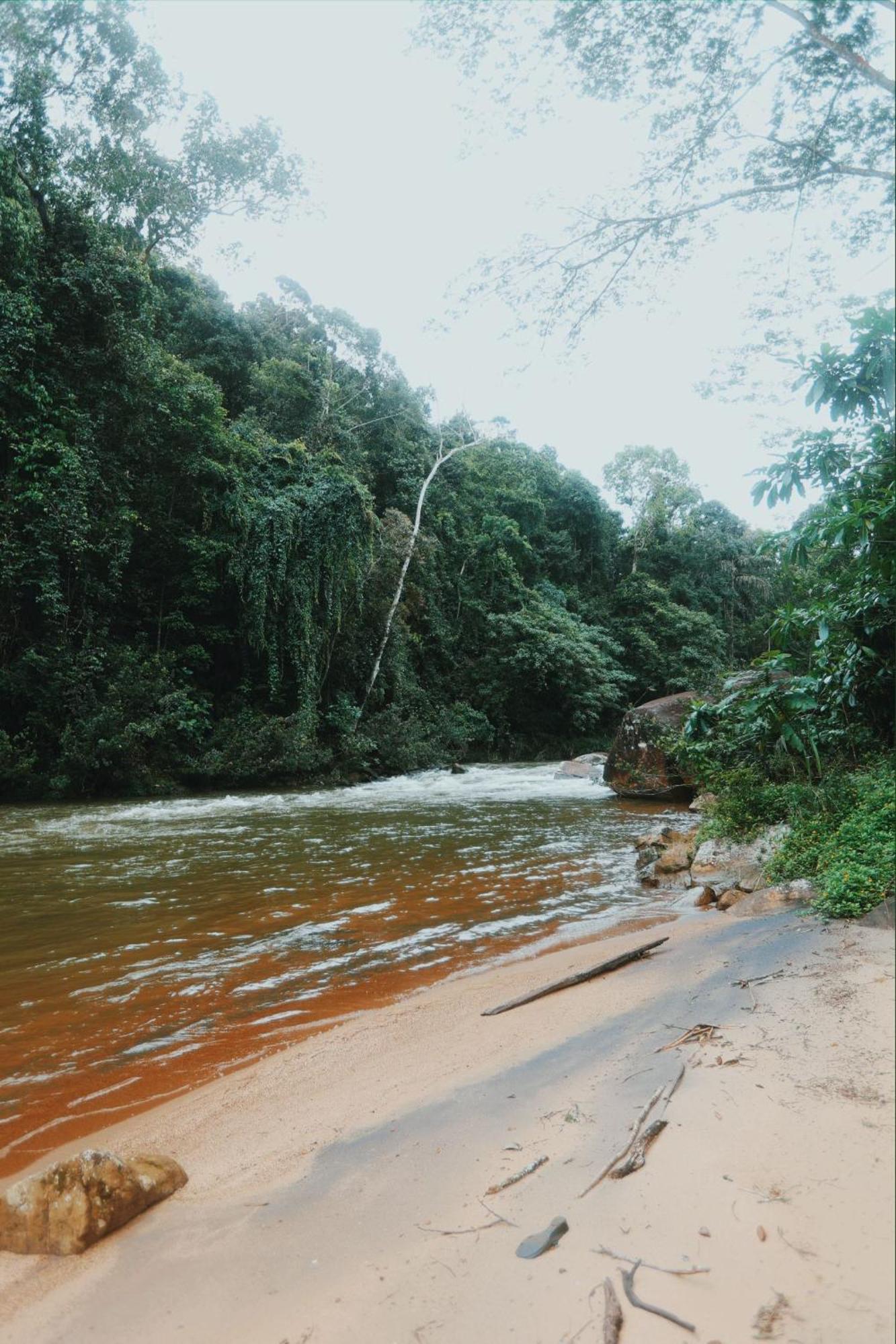 דניאיאה Sinharaja Forest Gate מראה חיצוני תמונה