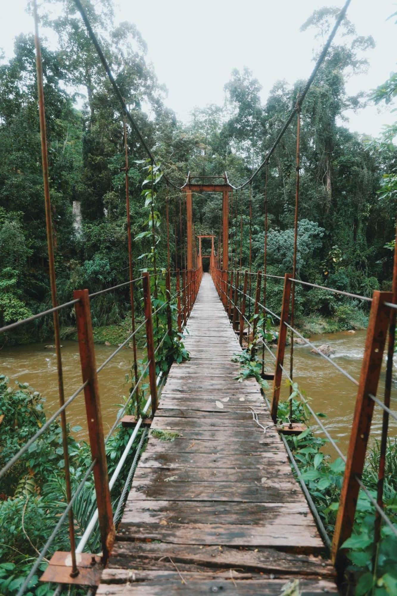 דניאיאה Sinharaja Forest Gate מראה חיצוני תמונה